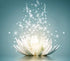 White Lotus Art